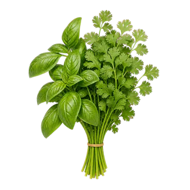 Fresh basil and coriander bound with a rubber band